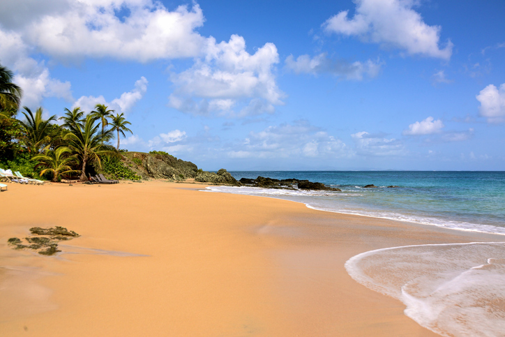 beach at viques puerto rico