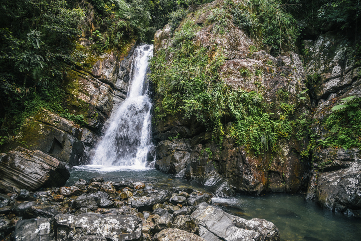 el-yunque-national-forest-puerto-rico