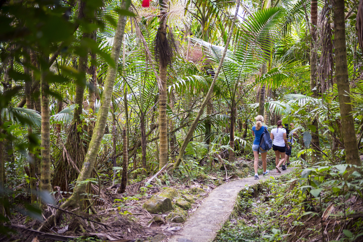 el-yunque-national-rainforest-puerto-rico