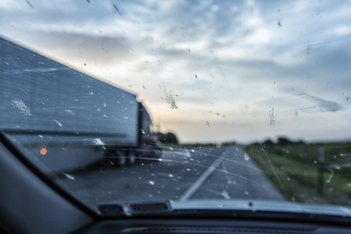 puerto-rico-bug-splat-windshield